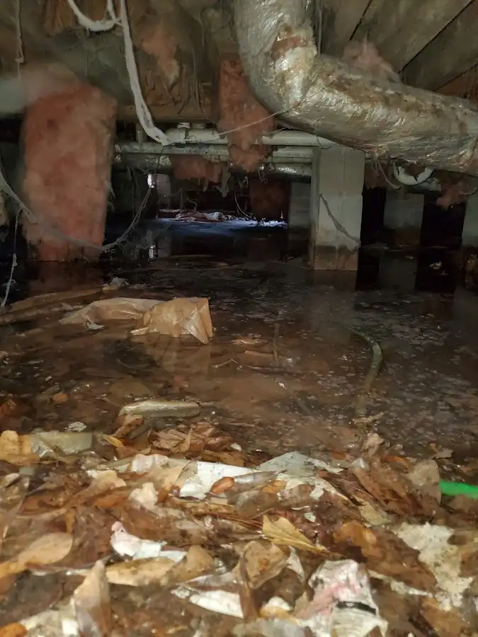 Crawl space flood assessment for Leak Detection & Repair in Kendall West